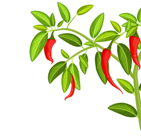 俄罗斯专享会种养